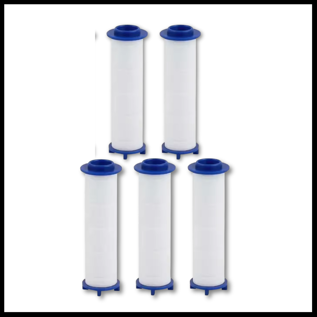 本日限定・無料進呈!🎁