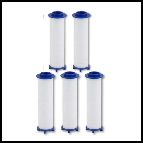 本日限定・無料進呈！🎁